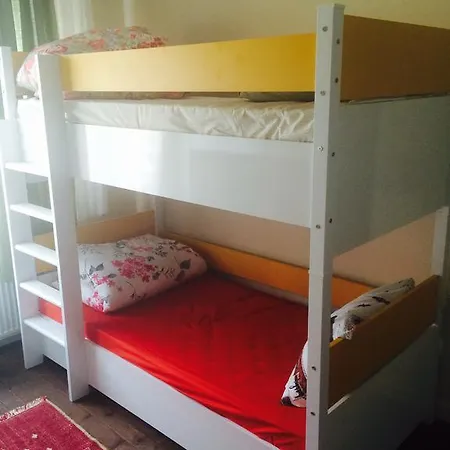 Limon Hostel
