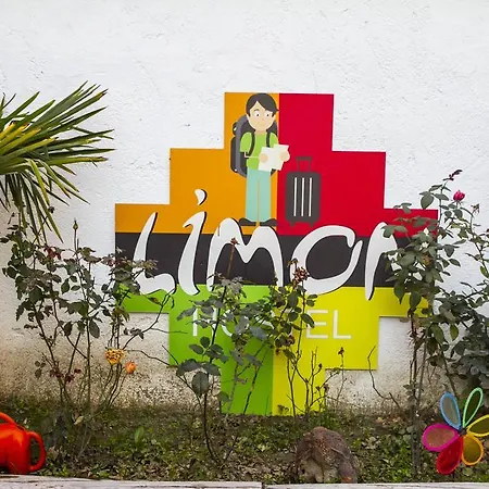 Limon 호스텔 *