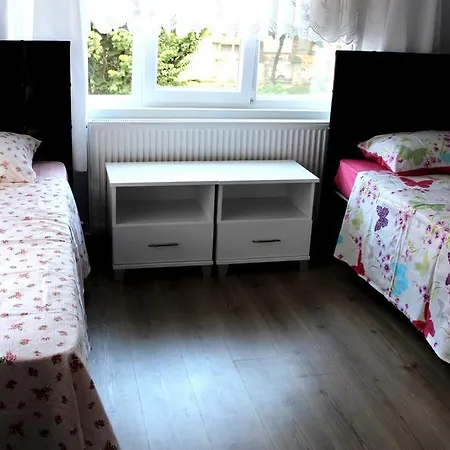 Limon Hostel